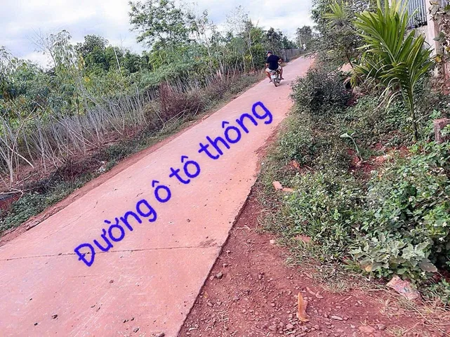 Bất động sản tại Đắk Lắk - ảnh 1