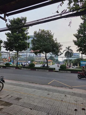 Bất động sản tại Đồng Nai - ảnh 1