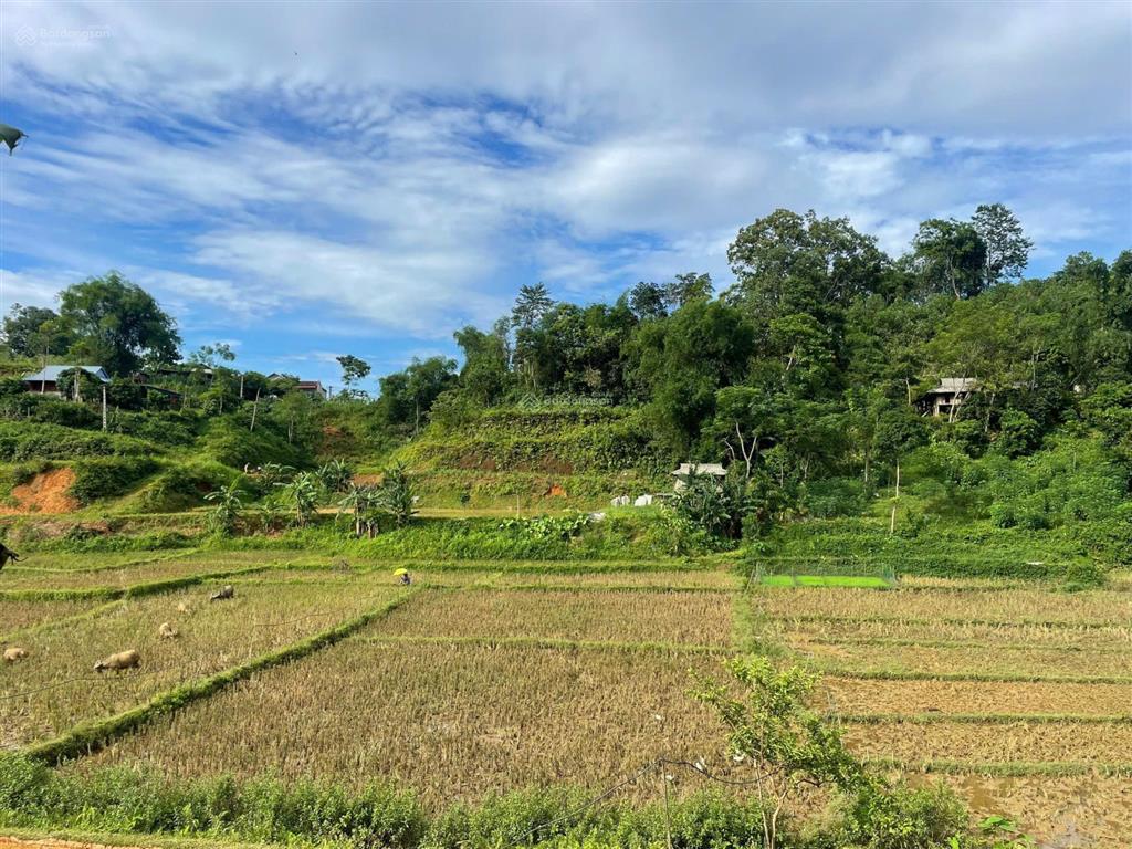 Bất động sản tại Hòa Bình - ảnh 1