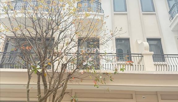 Bất động sản tại Hưng Yên - ảnh 1
