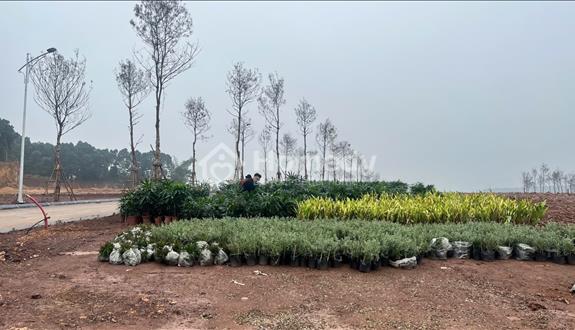 Bất động sản tại Hòa Bình - ảnh 1