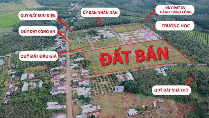 Bất động sản tại Đồng Nai - ảnh 1