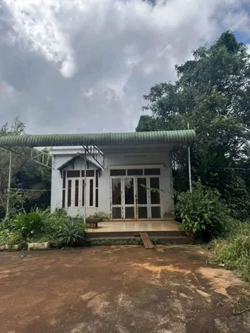 Bất động sản tại Đắk Lắk - ảnh 1