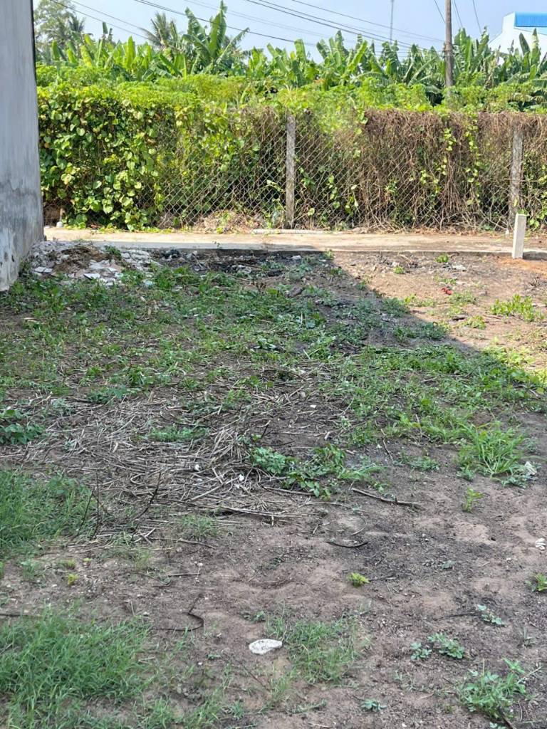 Bất động sản tại Tiền Giang - ảnh 1
