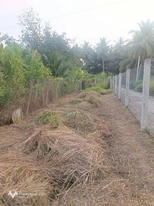 Bất động sản tại Bến Tre - ảnh 1