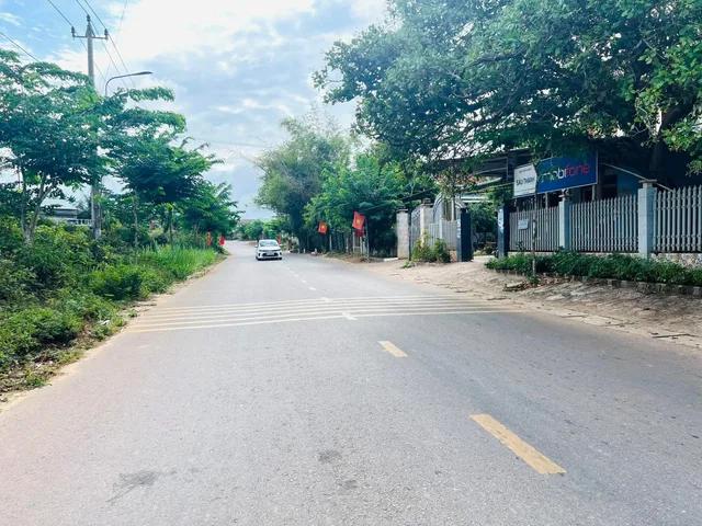 Bất động sản tại Bình Định - ảnh 1