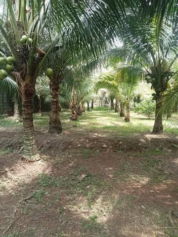 Bất động sản tại Đồng Nai - ảnh 1
