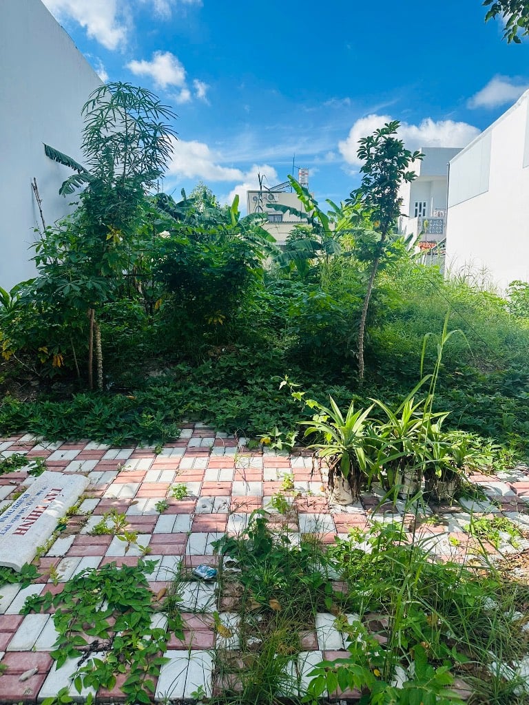 Bất động sản tại Cần Thơ - ảnh 1