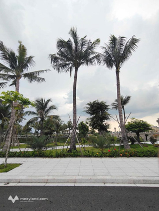 Bất động sản tại Long An - ảnh 1