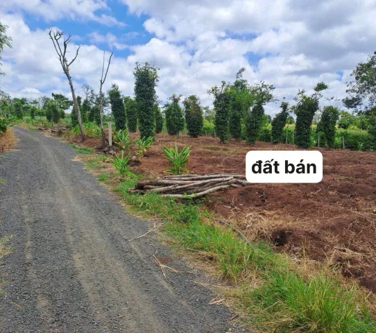 Bất động sản tại Đắk Lắk - ảnh 1