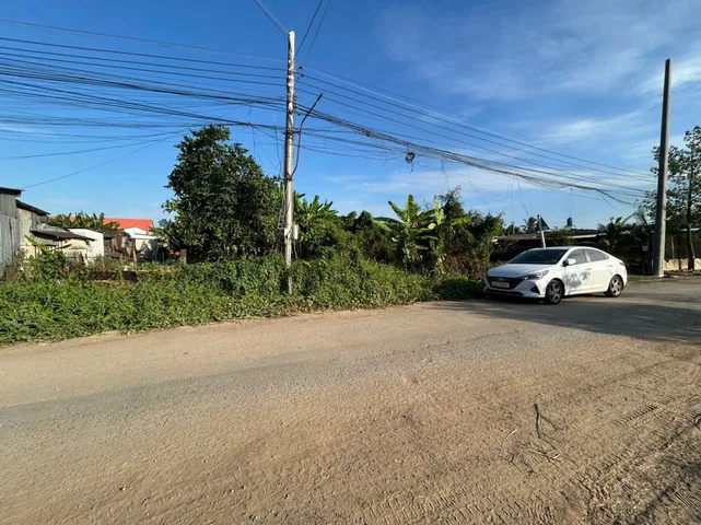 Bất động sản tại Long An - ảnh 1
