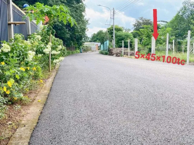 Bất động sản tại Bình Dương - ảnh 1