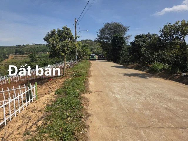 Bất động sản tại Lâm Đồng - ảnh 1