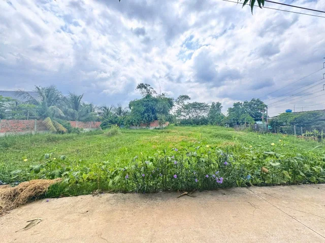 Bất động sản tại Tây Ninh - ảnh 1