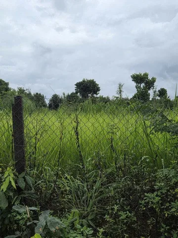 Bất động sản tại Đắk Lắk - ảnh 1