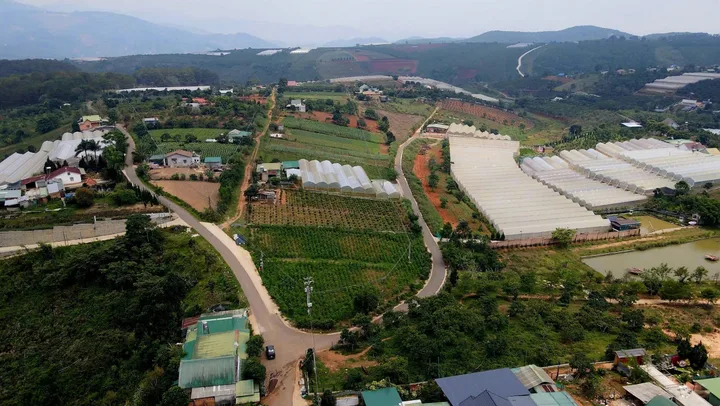 Bất động sản tại Lâm Đồng - ảnh 1