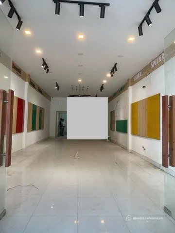 Bất động sản tại Đà Nẵng - ảnh 1