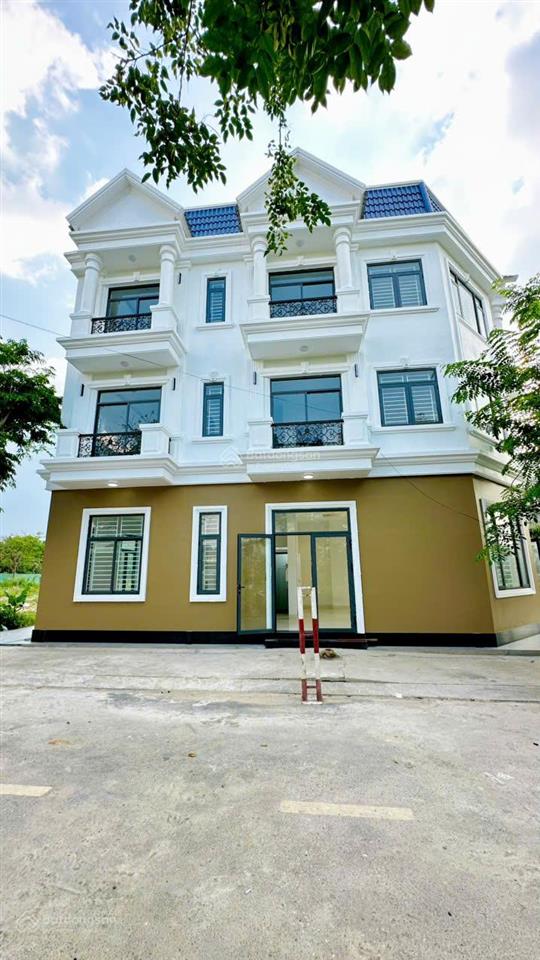 Bất động sản tại Bình Dương - ảnh 1