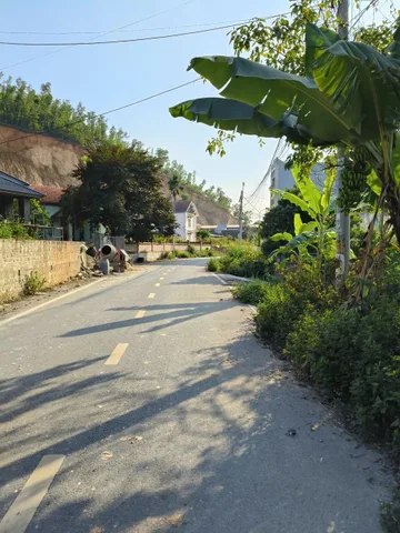 Bất động sản tại Hải Phòng - ảnh 1