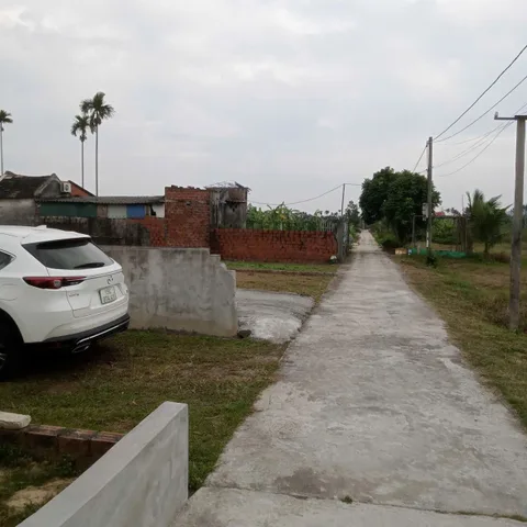 Bất động sản tại Hải Phòng - ảnh 1