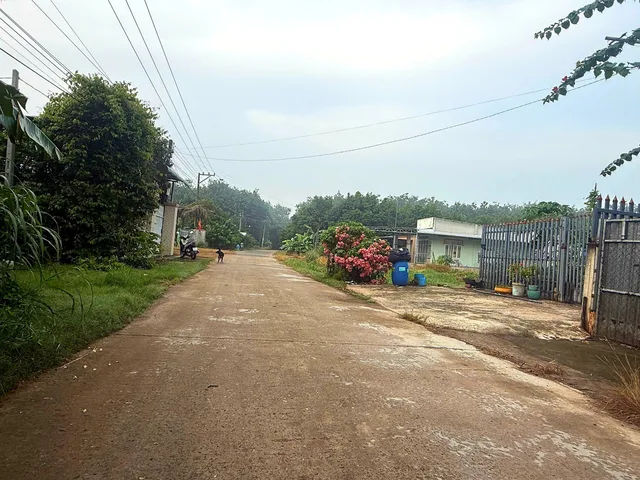 Bất động sản tại Đồng Nai - ảnh 1