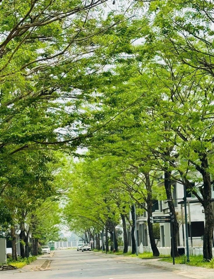 Bất động sản tại Hưng Yên - ảnh 1