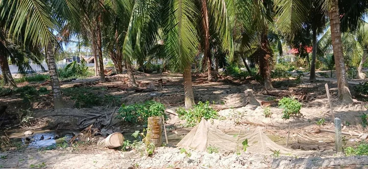 Bất động sản tại Bến Tre - ảnh 1