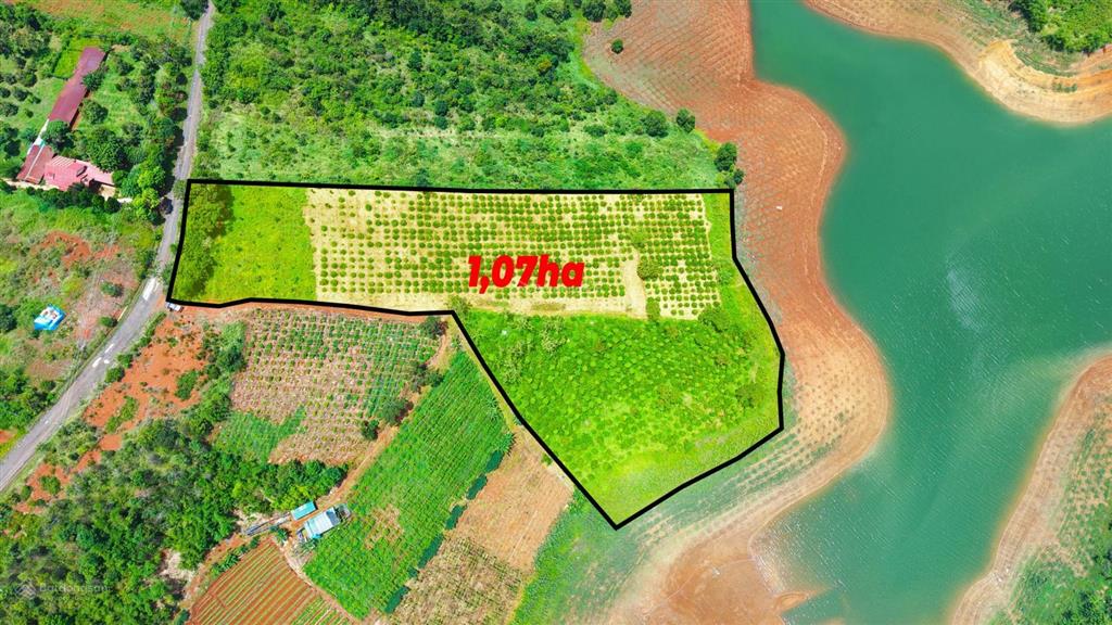 Bất động sản tại Đắk Nông - ảnh 1