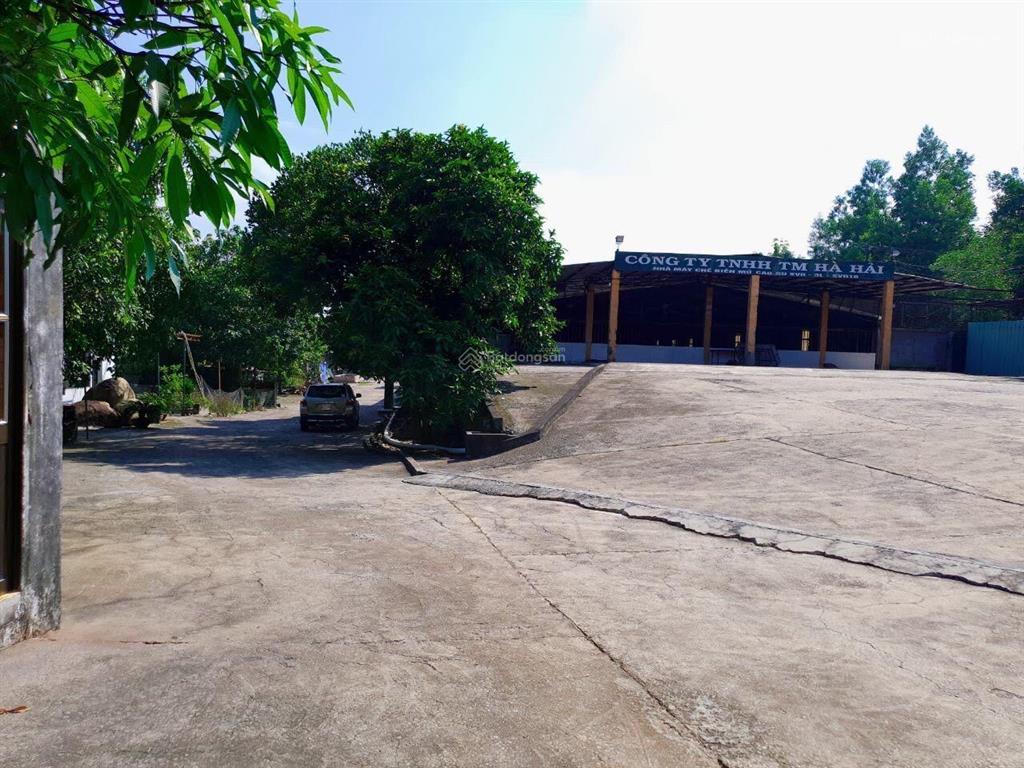 Bất động sản tại Bình Dương - ảnh 1