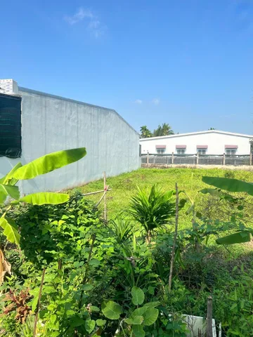 Bất động sản tại Đồng Tháp - ảnh 1