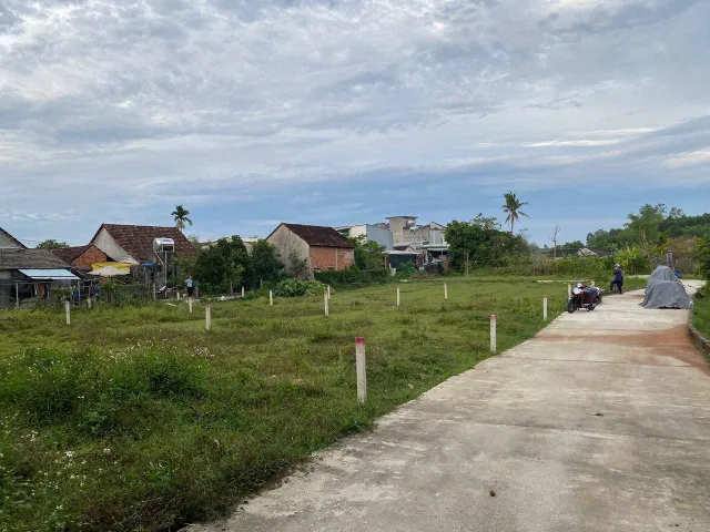 Bất động sản tại Đà Nẵng - ảnh 1