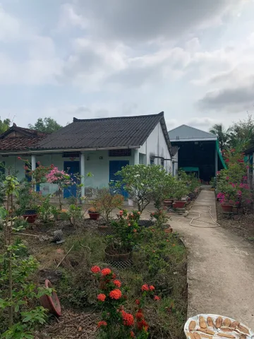 Bất động sản tại Long An - ảnh 1