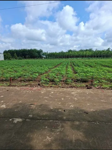 Bất động sản tại Bình Dương - ảnh 1