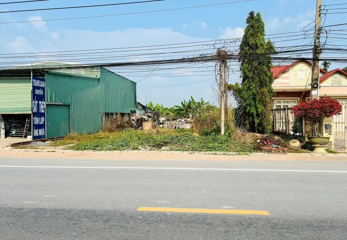 Bất động sản tại Bình Dương - ảnh 1