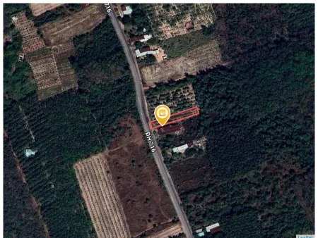 Bất động sản tại Bình Dương - ảnh 1