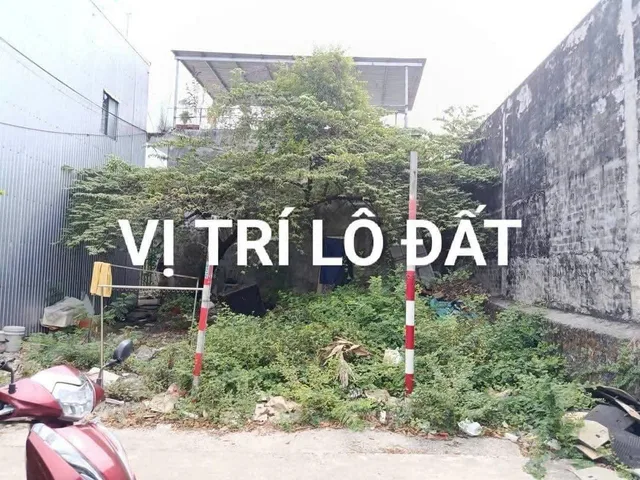 Bất động sản tại Đà Nẵng - ảnh 1