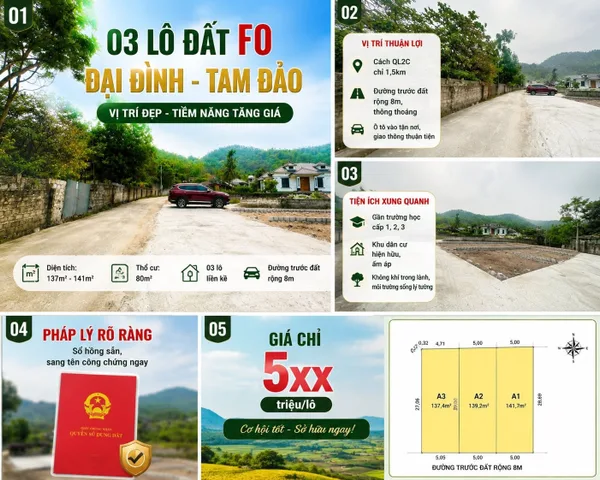 Bất động sản tại Vĩnh Phúc - ảnh 1