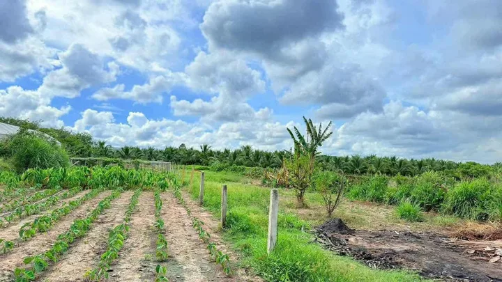 Bất động sản tại Bà Rịa - Vũng Tàu - ảnh 1