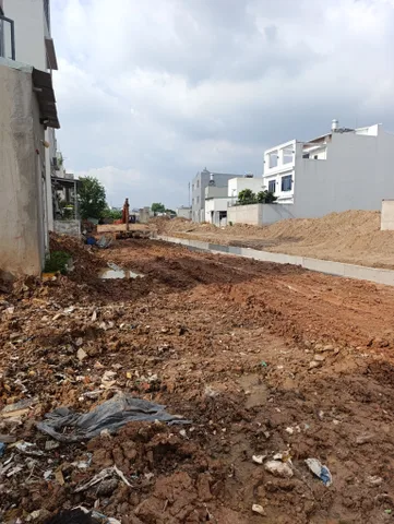 Bất động sản tại Bình Dương - ảnh 1