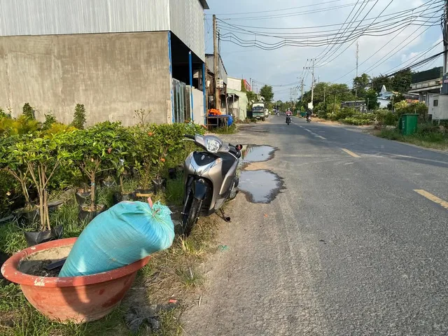 Bất động sản tại Đồng Tháp - ảnh 1