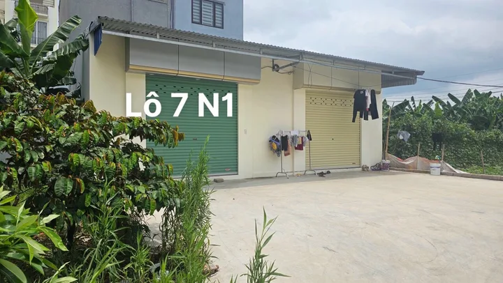 Bất động sản tại Hải Phòng - ảnh 1