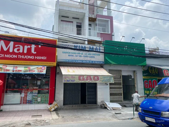 Bất động sản tại TP. Hồ Chí Minh - ảnh 1