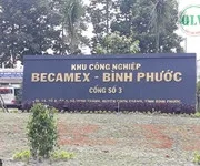 Bất động sản tại Bình Phước - ảnh 1