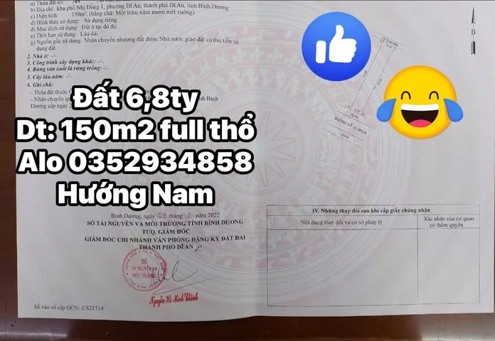 Bất động sản tại Bình Dương - ảnh 1