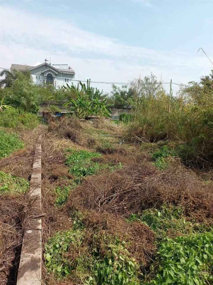 Bất động sản tại Long An - ảnh 1