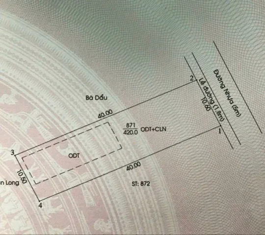 Bất động sản tại Bình Dương - ảnh 1