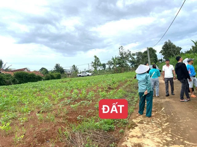 Bất động sản tại Đắk Lắk - ảnh 1