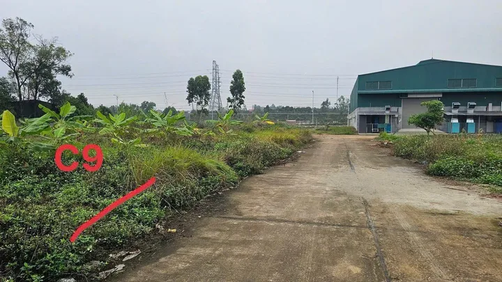 Bất động sản tại Vĩnh Phúc - ảnh 1