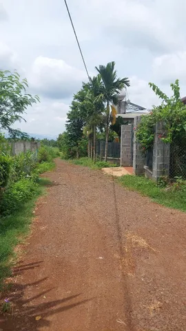 Bất động sản tại Đắk Lắk - ảnh 1