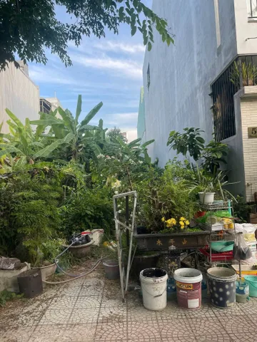 Bất động sản tại Đà Nẵng - ảnh 1
